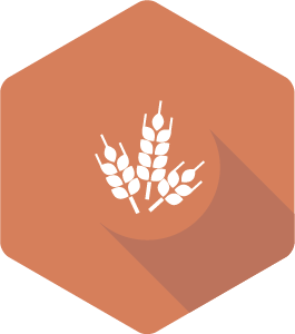 Farine logo